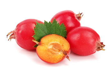 Hawthorn berry with leaf isolated on white background close-up