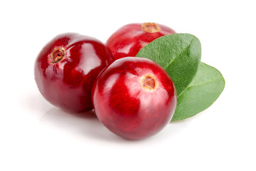 Cranberry with leaf isolated on white background closeup macro