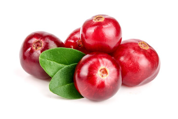 Cranberry with leaf isolated on white background closeup macro