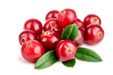 Cranberry with leaf isolated on white background closeup macro