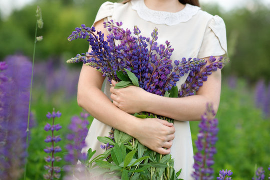 Fototapeta Woman hand holding wild lupinus flower. Natural outdoor photo with woman holding wildflower