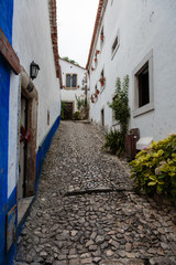 Fototapeta na wymiar Old Narrow Street in Portuguese Town of Obidos