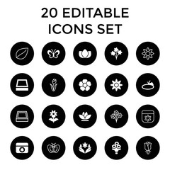 Floral icons. set of 20 editable filled and outline floral icons