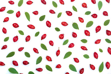 rosehip berries isolated on white background. Flat lay pattern. Top view