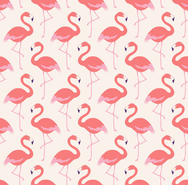 seamless flamingo bird pattern