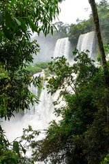 iguazu falls