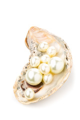 Multiple pearls in oyster sea shell