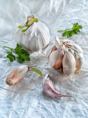 Garlic, parsley, garlic cloves lie on white paper