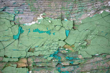 Flaky green paint on the wall. Wall with old peeling and cracked paint.
