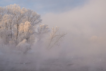 Snowy frozen landscape of sunrise on lakeside with trees
