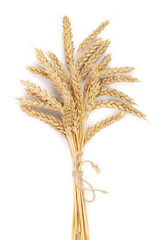 ears of wheat isolated on white background. Top view