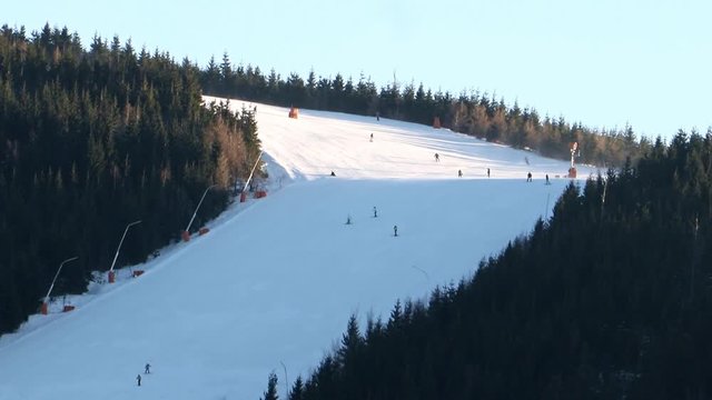Skiers on slope between trees from the top of the mountain. Recreational downhill skiers on slope of peak of hill at sunny day.
