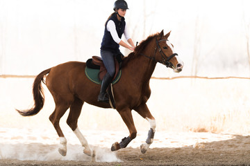 Young pretty girl - riding a horse in winter morning