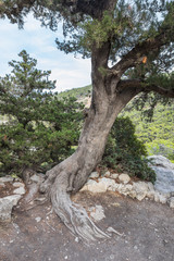 Fototapeta na wymiar Landscape near the Castle of Monolithos in Rhodes, Greece