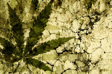 cannabis leaves over grunge texture
