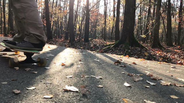 Man skating longboard on the leafs covered path.