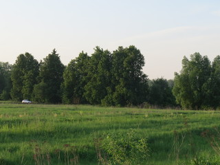 Outskirts of a village. The green field. The Month Of May. (The Vast Russia! Sergey, Bryansk.)