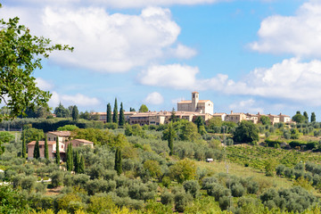 Fototapeta na wymiar Certosa Di Pontignano