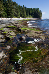 Küstenlandschaft am Botanical Beach im Juan de Fuca Provincial Park auf Vancouver Island, British Columbia, Kanada.