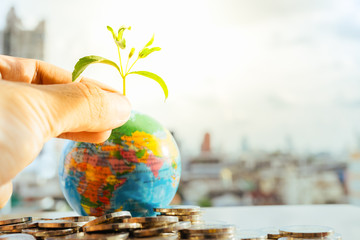 Save the wold/ Green Earth day concept. Man's hand holding plant put on globe with cityscape background