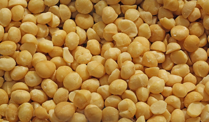background of lots of macadamia seeds