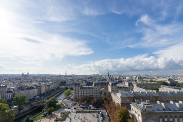 Fototapeta na wymiar ノートルダム大聖堂から見るパリ市街の風景