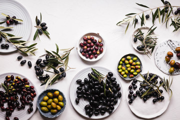Olive tree hedge different cultivars species overhead ripe olive fruits 