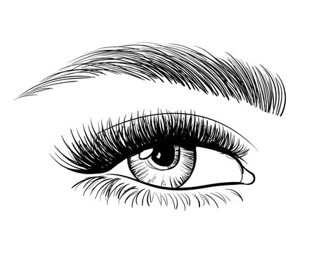 Hand-drawn beautiful female eye, sketch. Black and white beauty eye. Makeup, beauty salon symbol. Vintage vector illustration