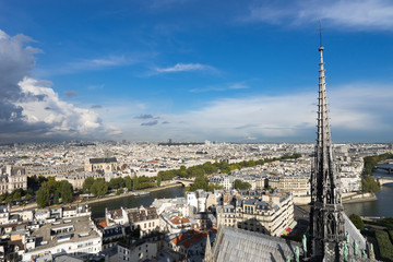 ノートルダム大聖堂の尖塔とパリ市街の風景