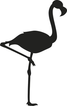 Flamingo vector silhouette
