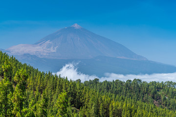 Fototapeta premium Nationalpark Teneriffa mit Vulkan Teide im Hintergrund