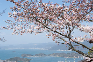 尾道