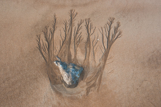 Fractales en la arena de una playa