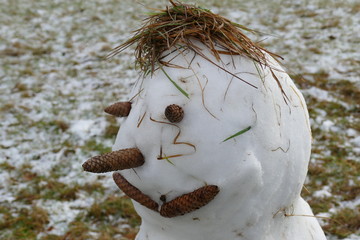 Schneemann Portrait