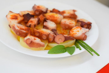 Pulpo cocido con patatas a la gallega