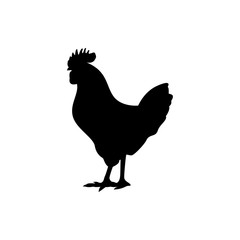 vector rooster silhouette