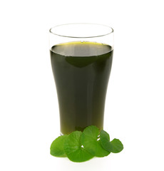 Asiatic and Asiatic water isolated on white background