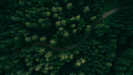 Foto auf Alu-Dibond Luftaufnahme einer Straße mitten im Wald © oneinchpunch