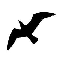 Flying Seagull Bird black silhouette isolated on white background. Vector illustration