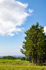 夏の田園風景と函館の街