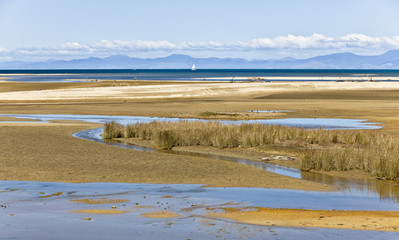 Fototapeta na wymiar Landschaft im Abel Tasman Nationalpark, Neusseland, Südinsel