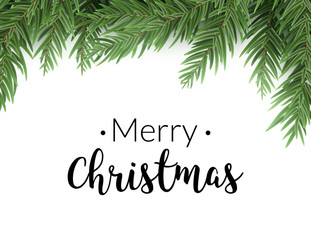 Realistic christmas fir background. Merry christmas pine tree decoration border card