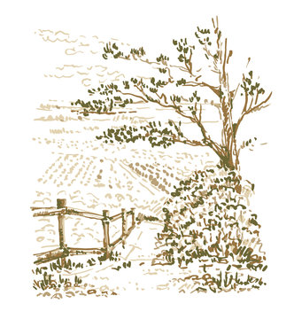 Hand drawn landscape with tree, wooden fence and vineyards. Sketch, vector illustration.