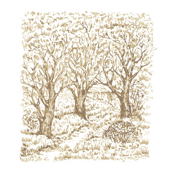 Hand drawn beautiful garden with trees. Sketch, vector illustration.