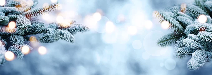 Fototapeten Raureif bedeckte Tannenzweige mit Bokeh im Winter © gudrun