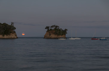 Obraz premium Supermoon rising