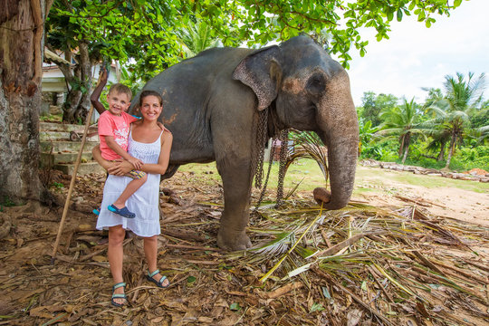 Caucasian tourists make a photo near elephant in Sri Lanka