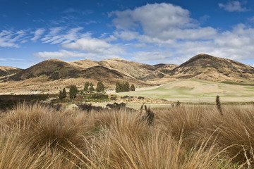 Steppen- und Weideland in Central Otago,Neuseeland
