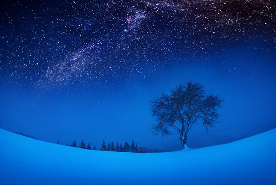 Lonely tree on a snowy hill