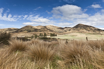 Steppen- und Weideland in Central Otago,Neuseeland